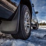 брызговики