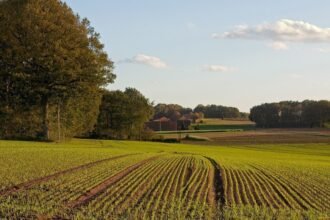 земельна ділянка